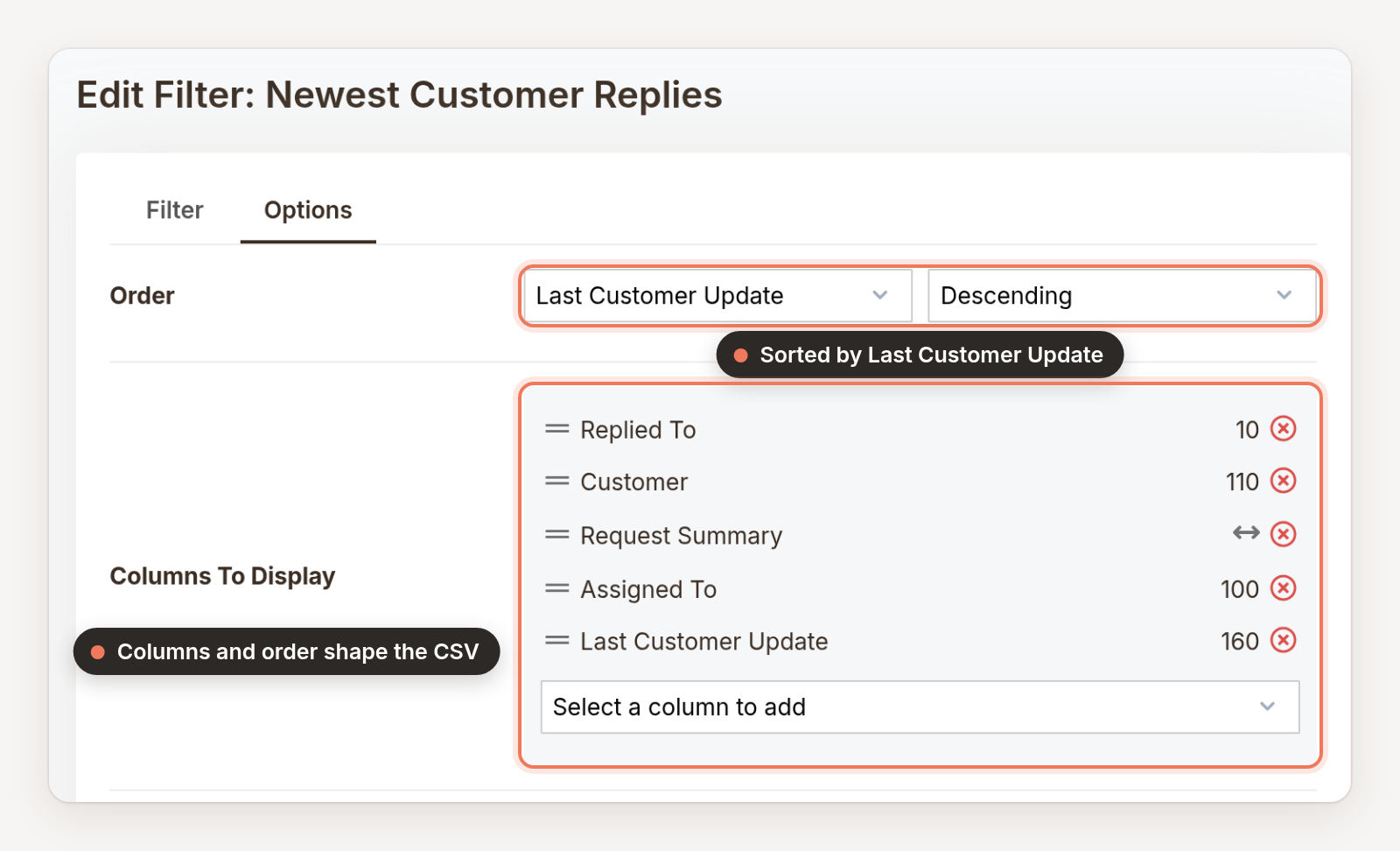 The filter editor's Options tab, with the filter sorted by Last Customer Update in descending order and the columns to display listed below